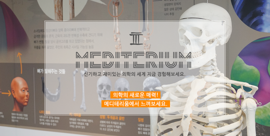 메디테리움 의학박물관